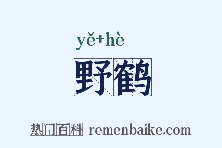 野鹤是什么意思的图片
